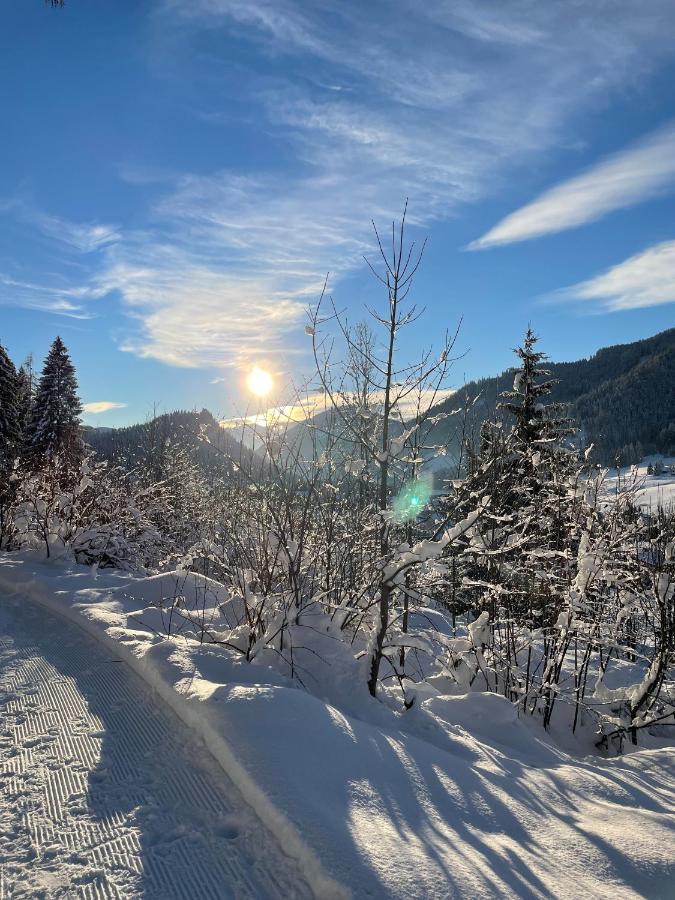 Wimmhof Apartment Sankt Martin am Tennengebirge Bagian luar foto