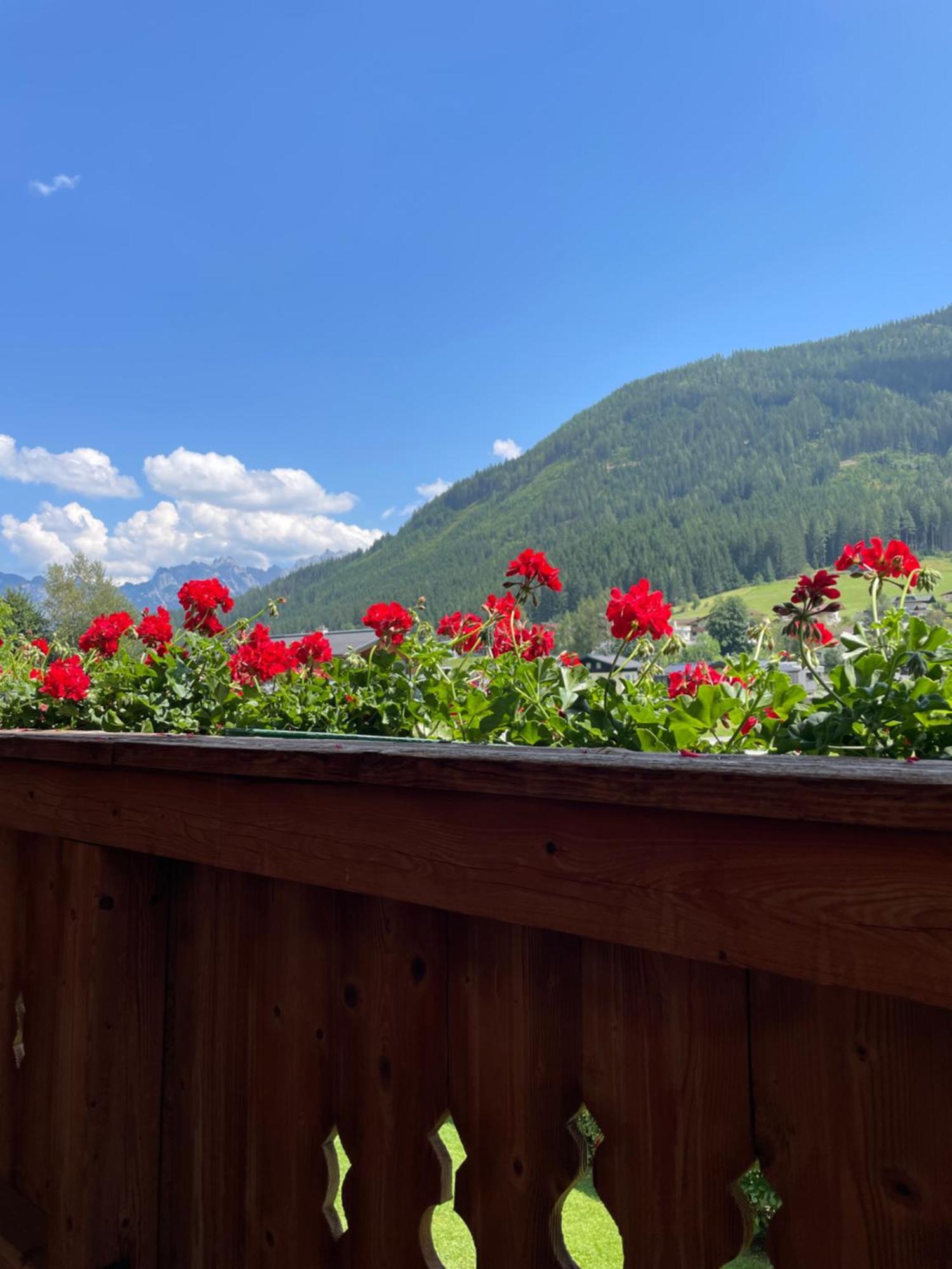 Wimmhof Apartment Sankt Martin am Tennengebirge Bagian luar foto